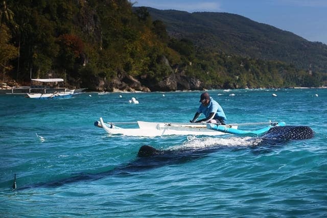 Du lich Philippines anh 16