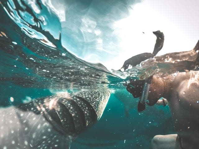 Du lich Philippines anh 17