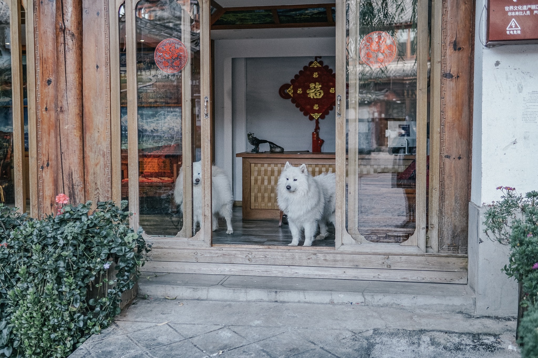 Du lich Trung Quoc anh 10