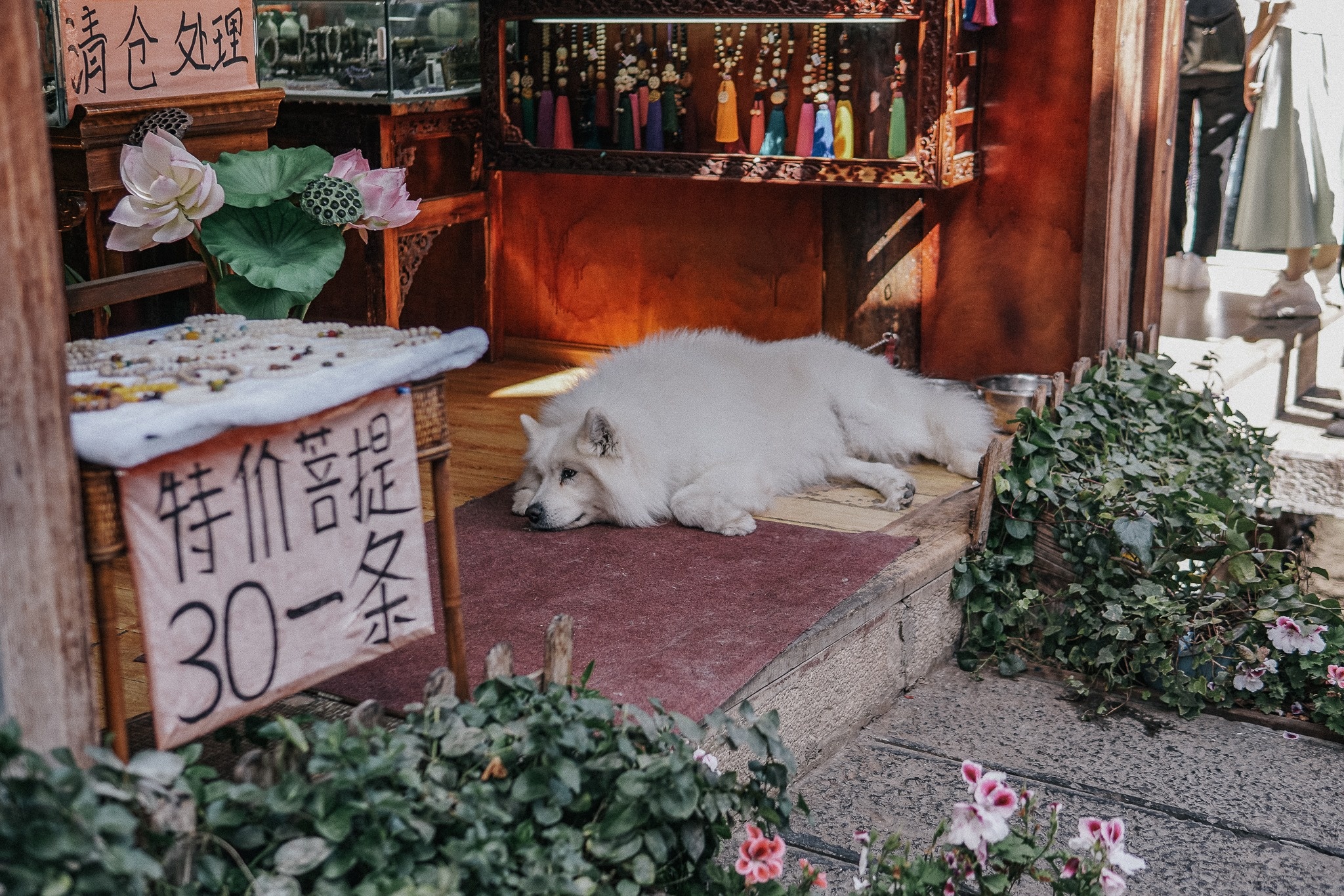 Du lich Trung Quoc anh 2