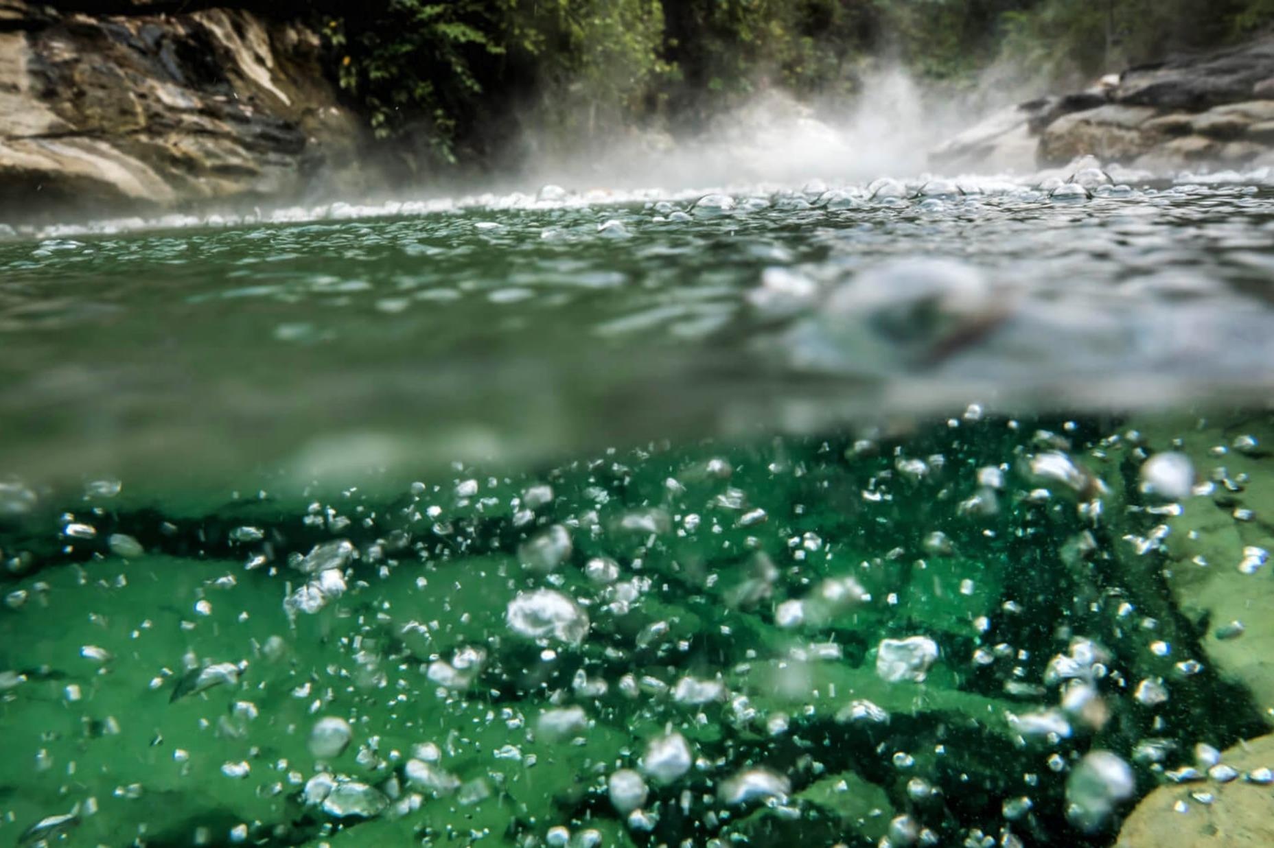 Dong song luoc chin moi sinh vat roi xuong hinh anh