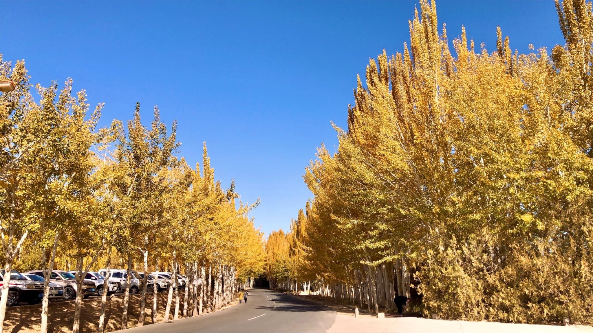 My nhan Tan Cuong anh 8