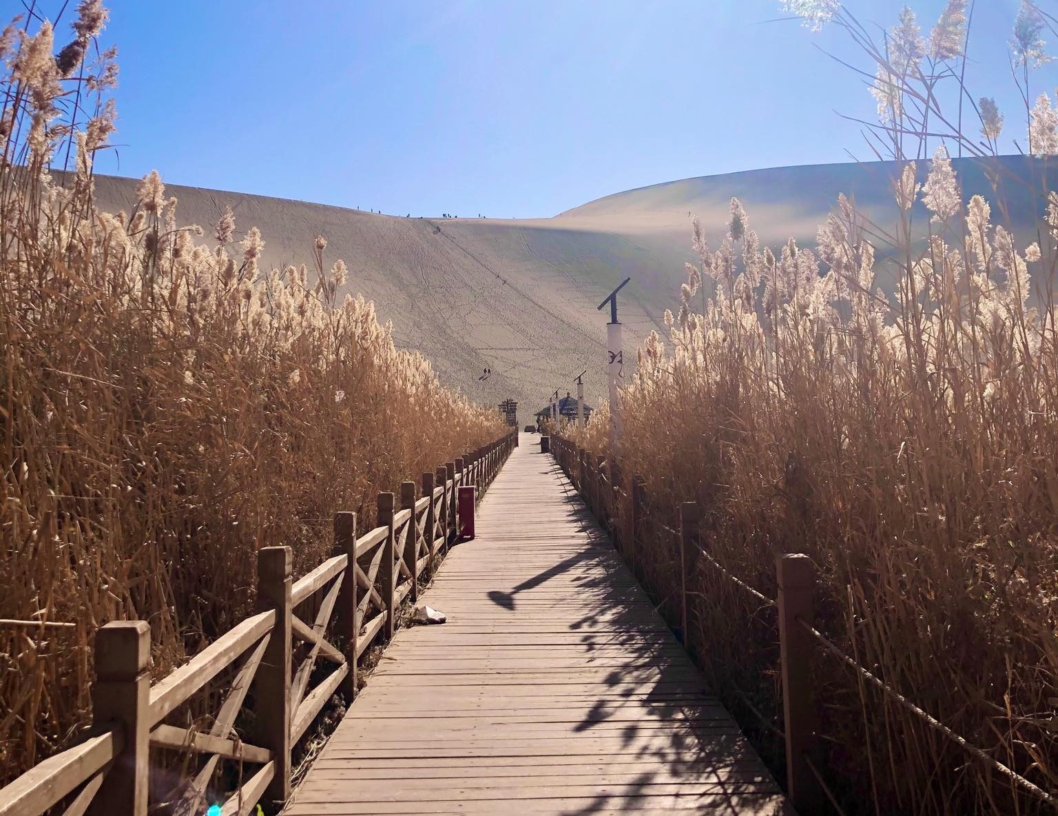 My nhan Tan Cuong anh 13