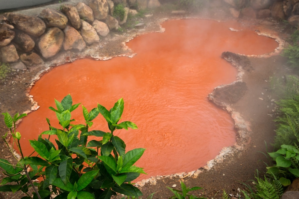 Thanh pho Nhat Ban anh 3