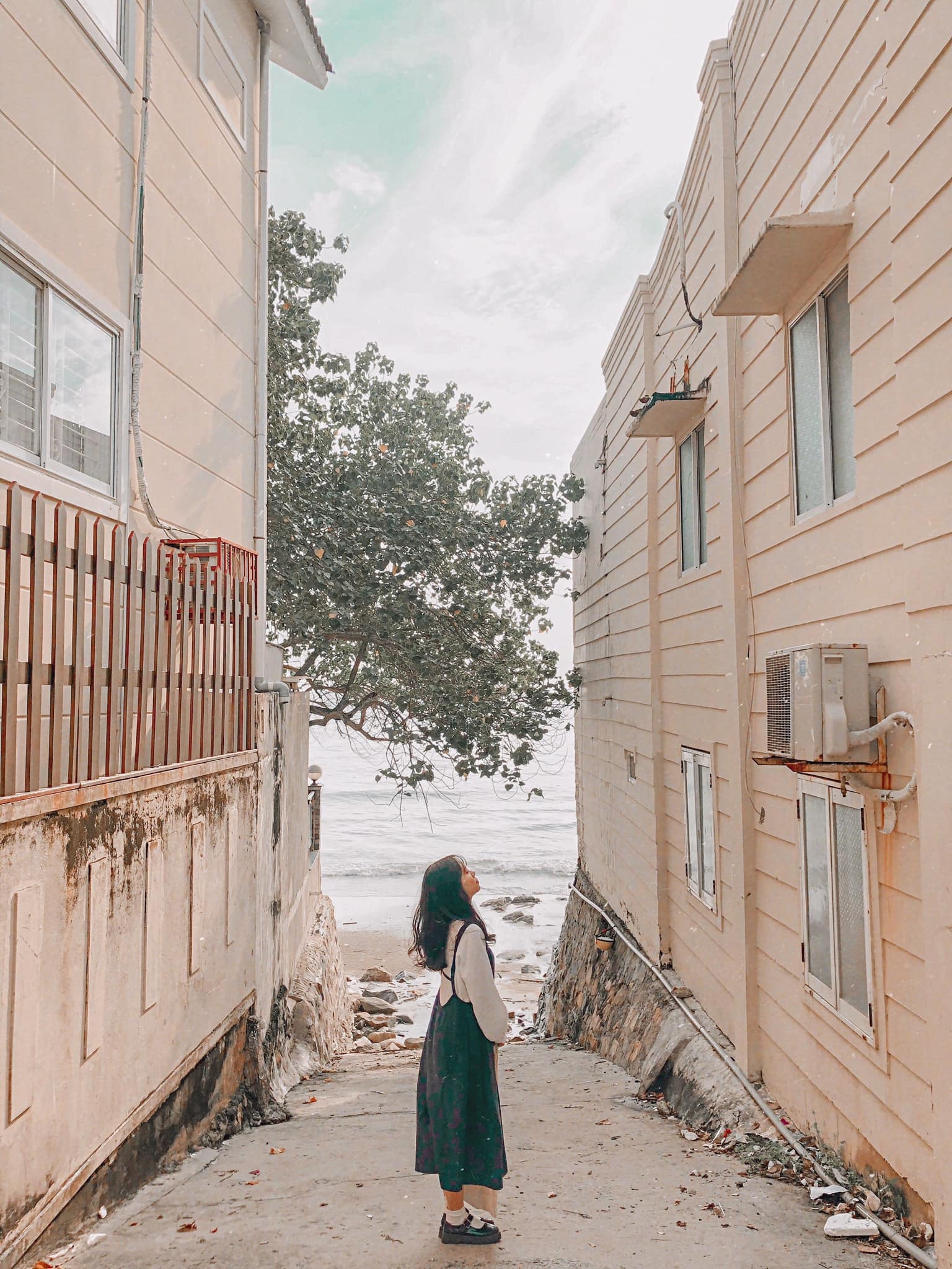 Dia diem check-in Vung Tau anh 1