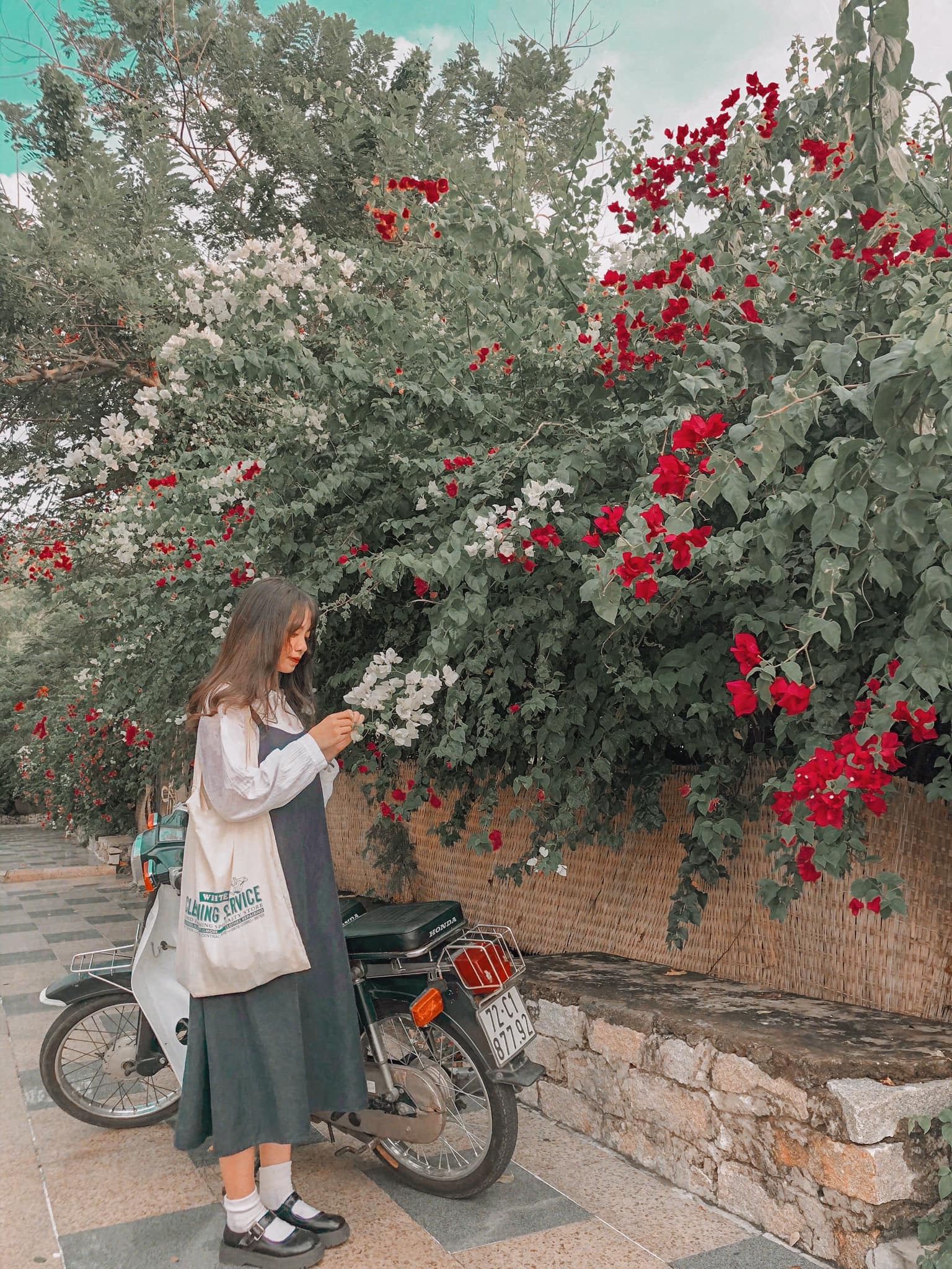 Dia diem check-in Vung Tau anh 3