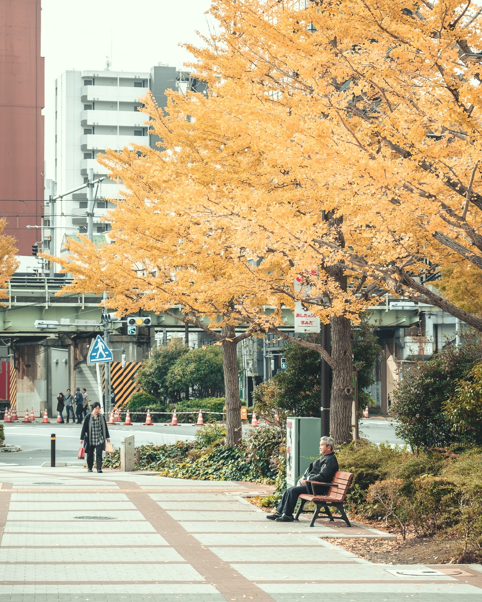 Du lich Nhat Ban anh 12