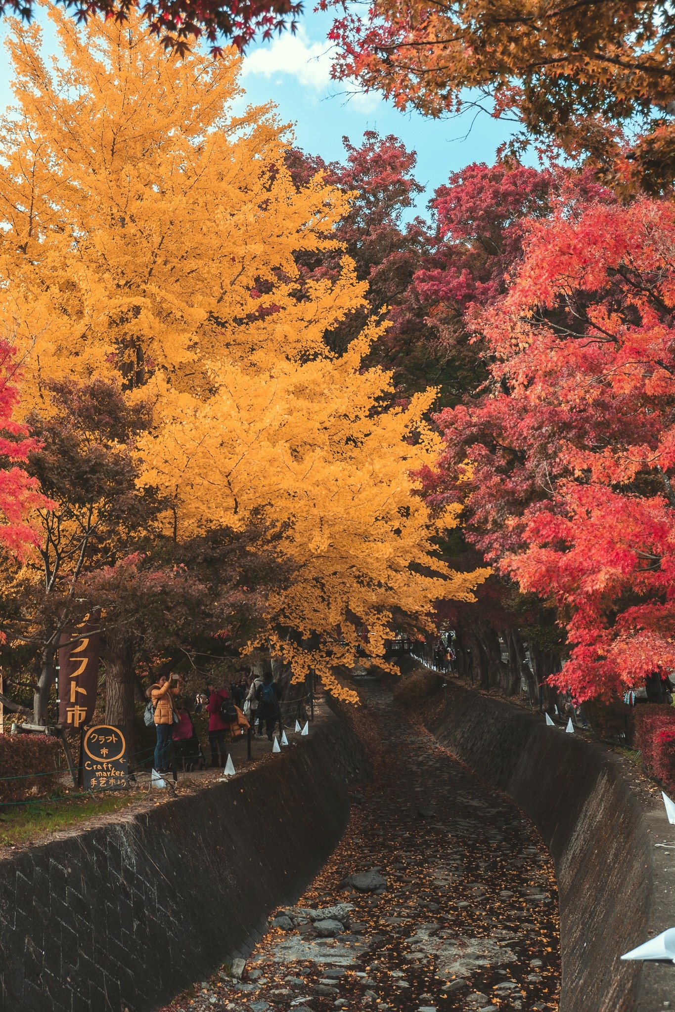 Du lich Nhat Ban anh 5