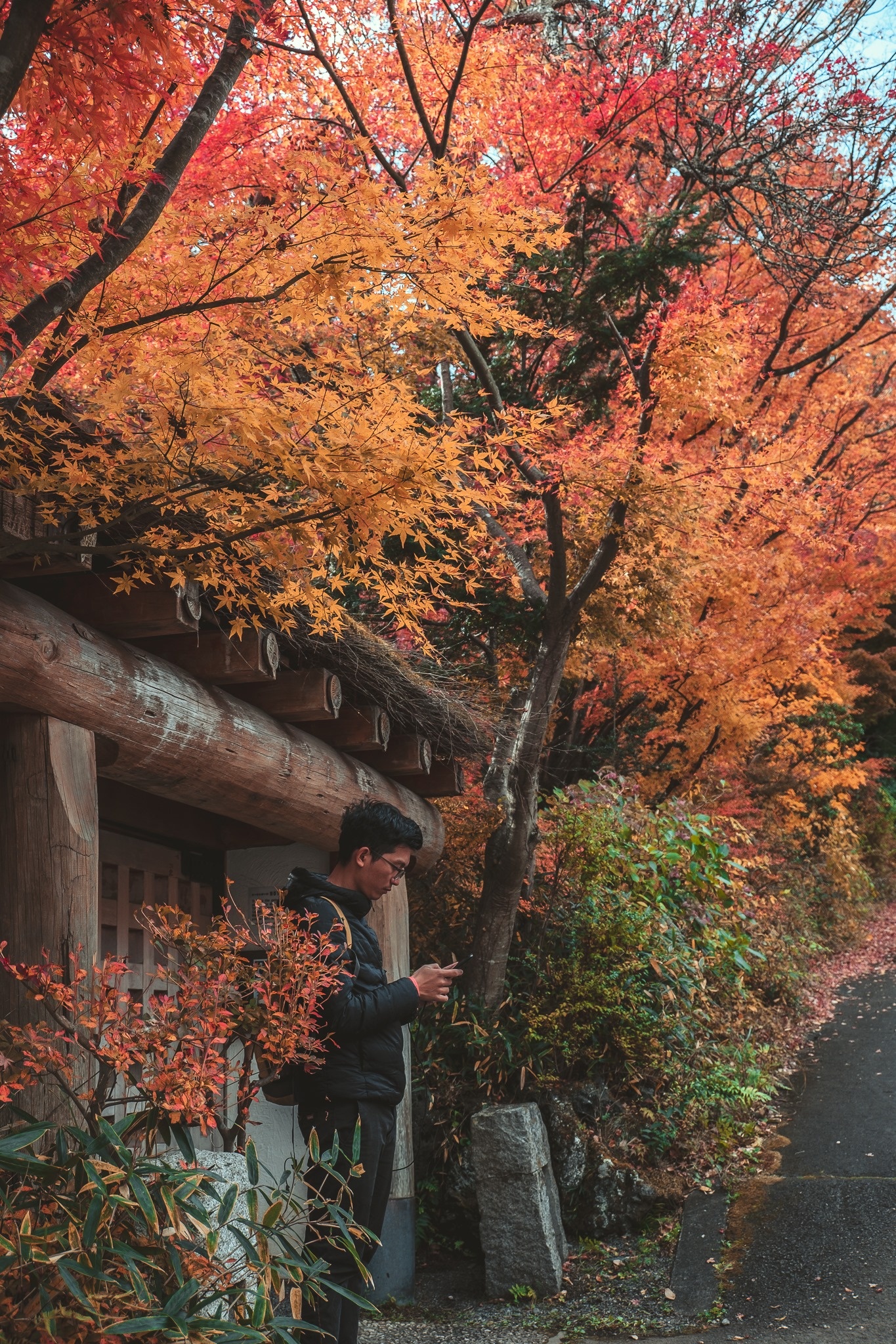 Du lich Nhat Ban anh 7