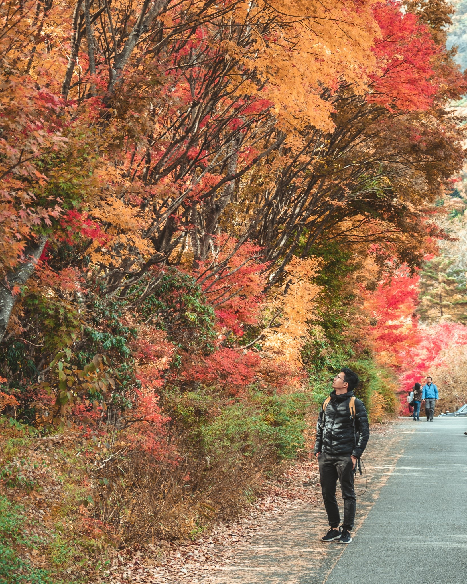 Du lich Nhat Ban anh 6