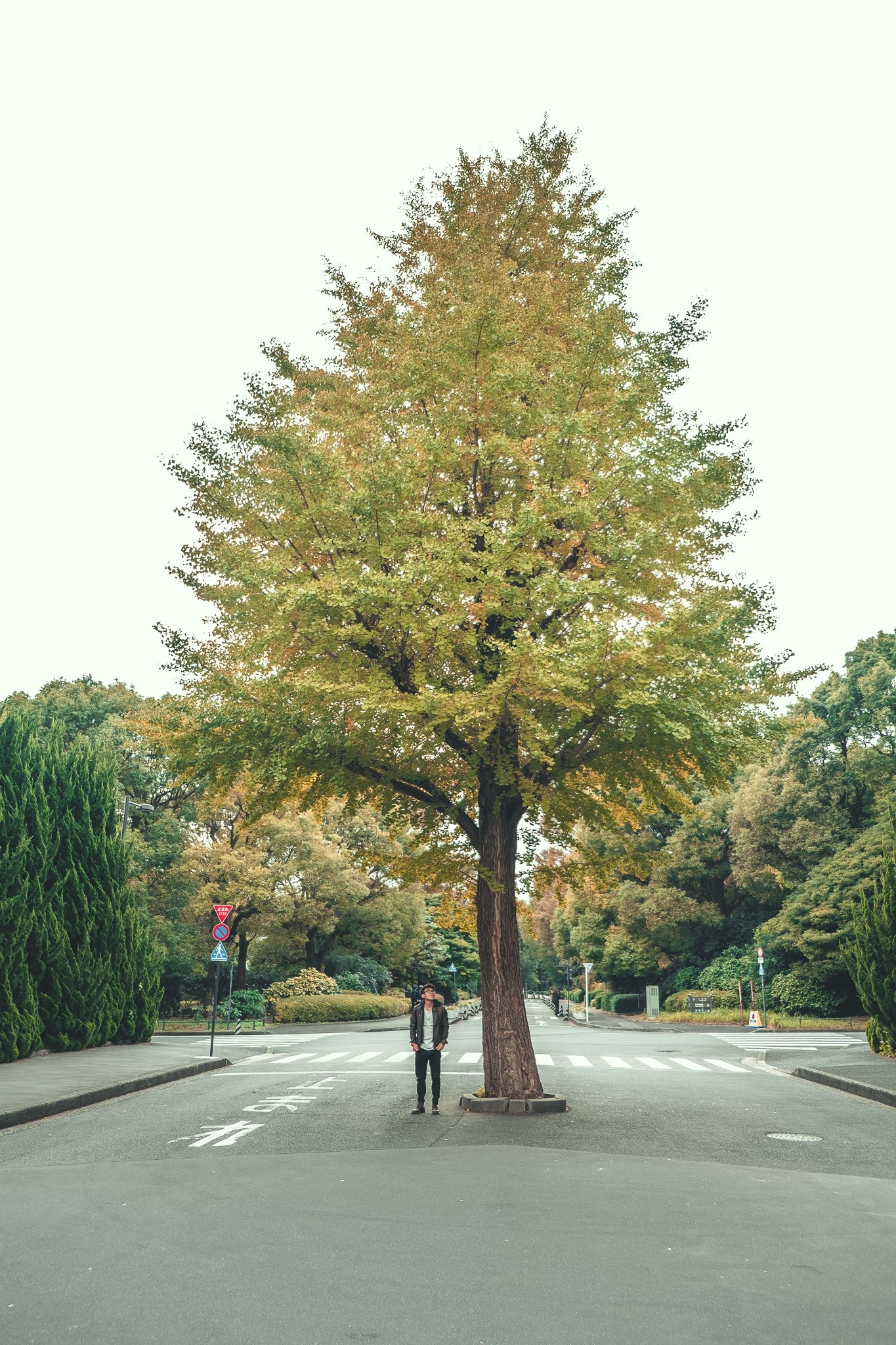 Du lich Nhat Ban anh 18