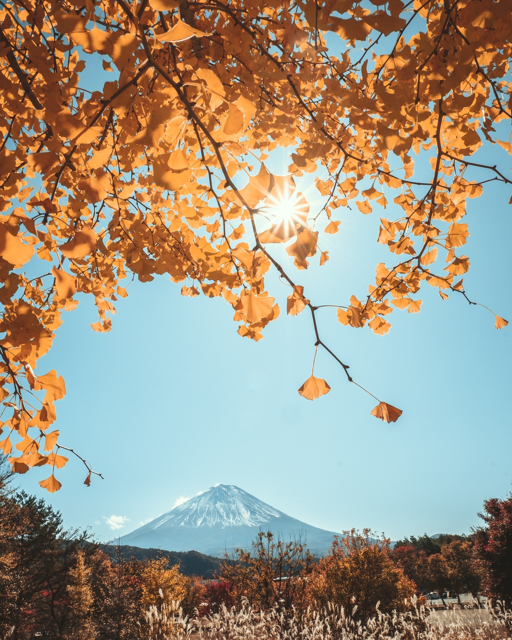 Du lich Nhat Ban anh 16