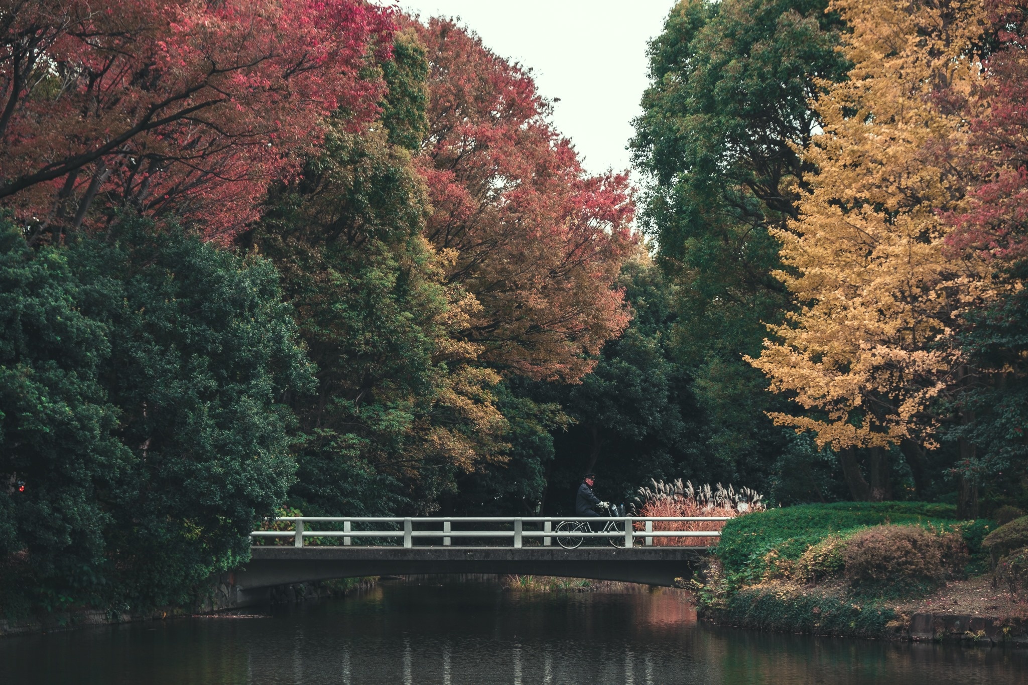 Du lich Nhat Ban anh 4