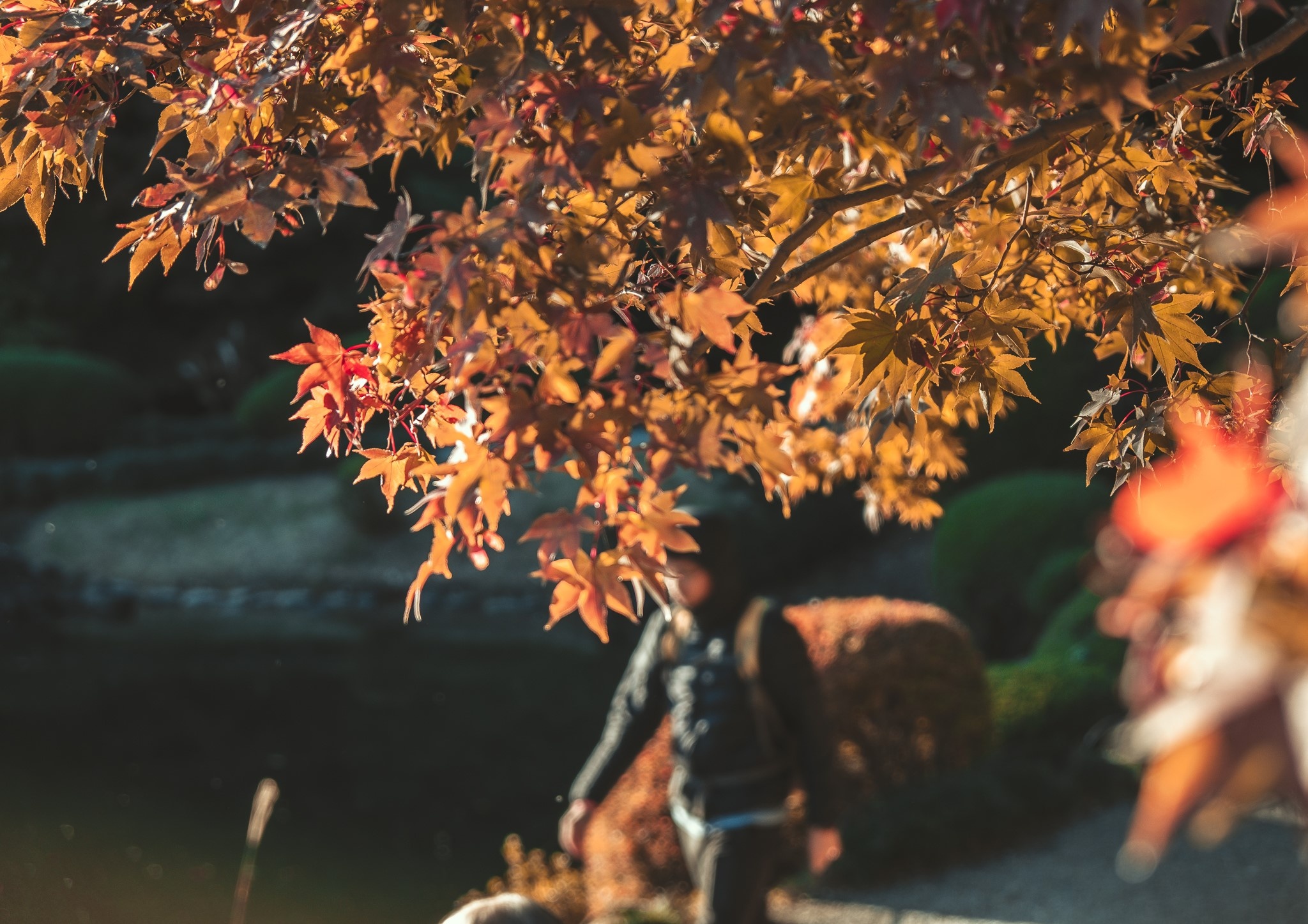 Du lich Nhat Ban anh 9