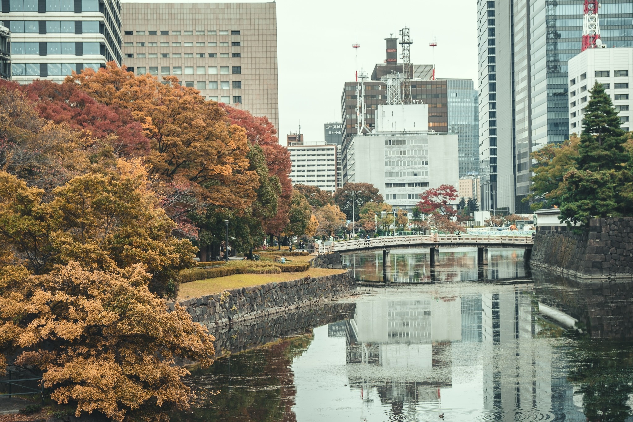 Du lich Nhat Ban anh 14