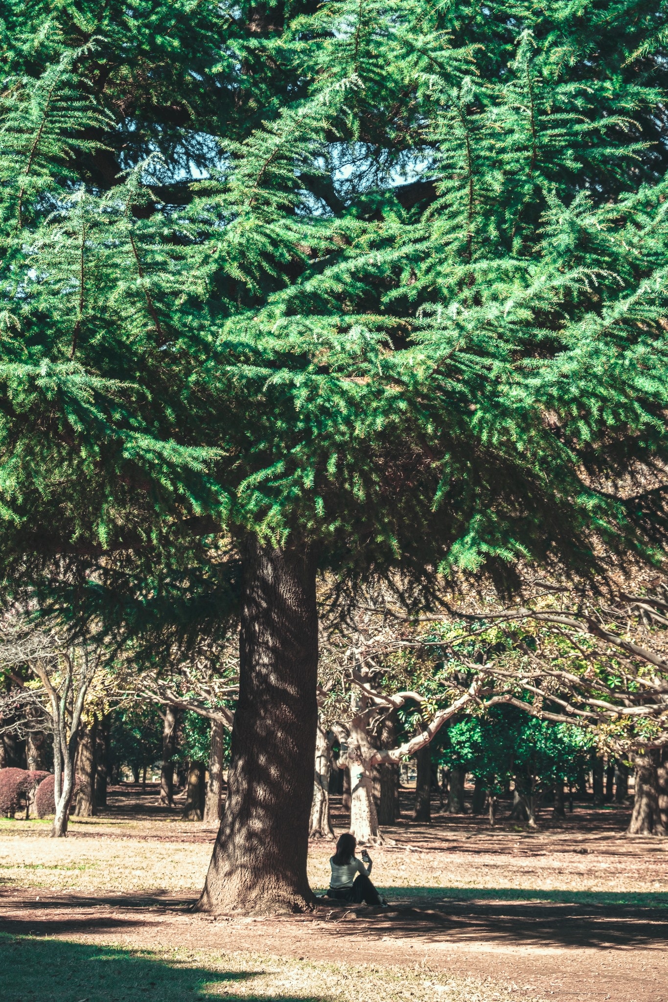 Du lich Nhat Ban anh 19