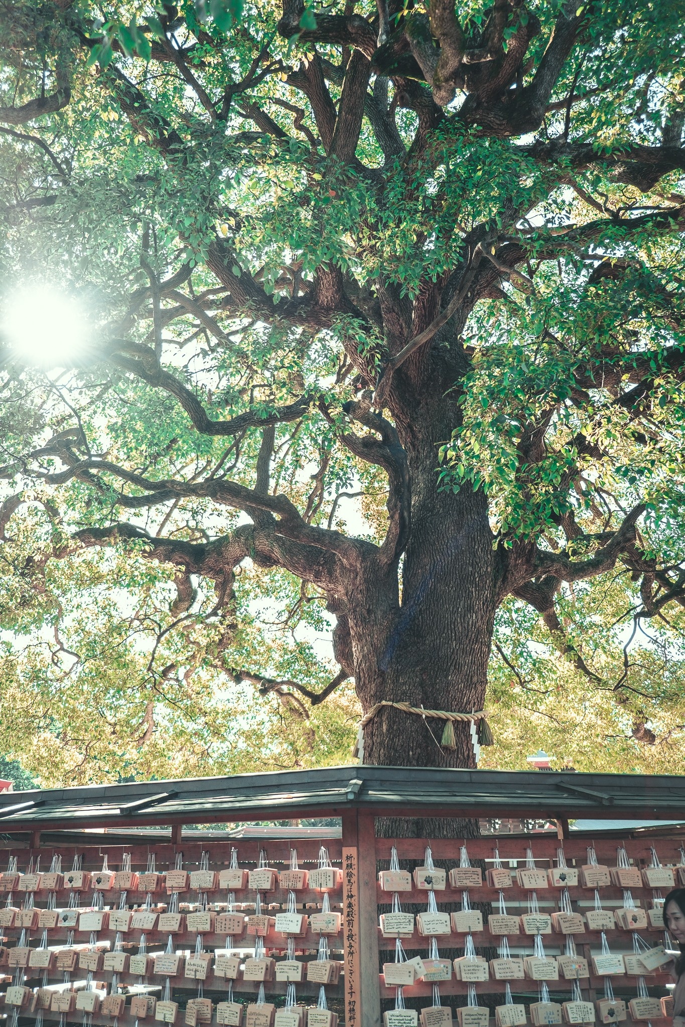 Du lich Nhat Ban anh 20