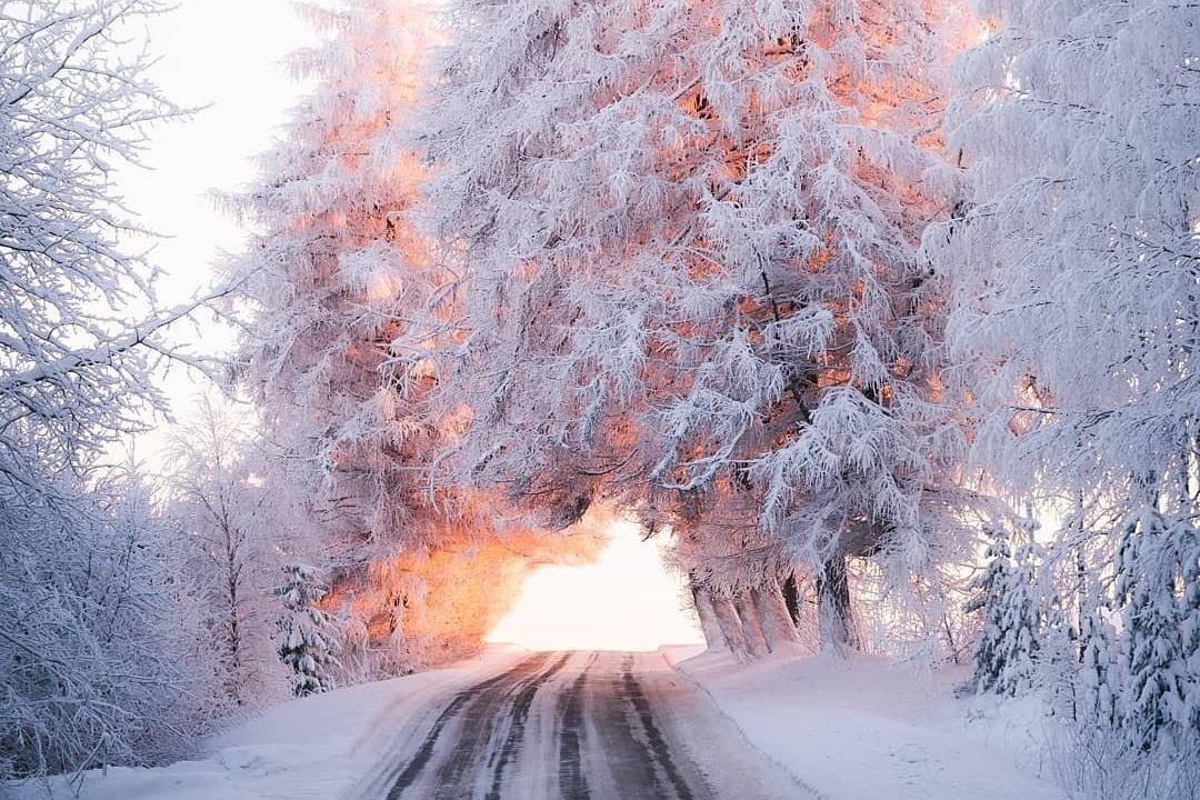 Bang qua dai lo dan toi thien duong mua dong hinh anh