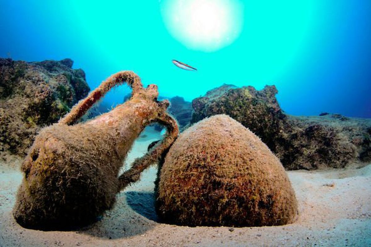 Tau co dai duoi bien anh 6