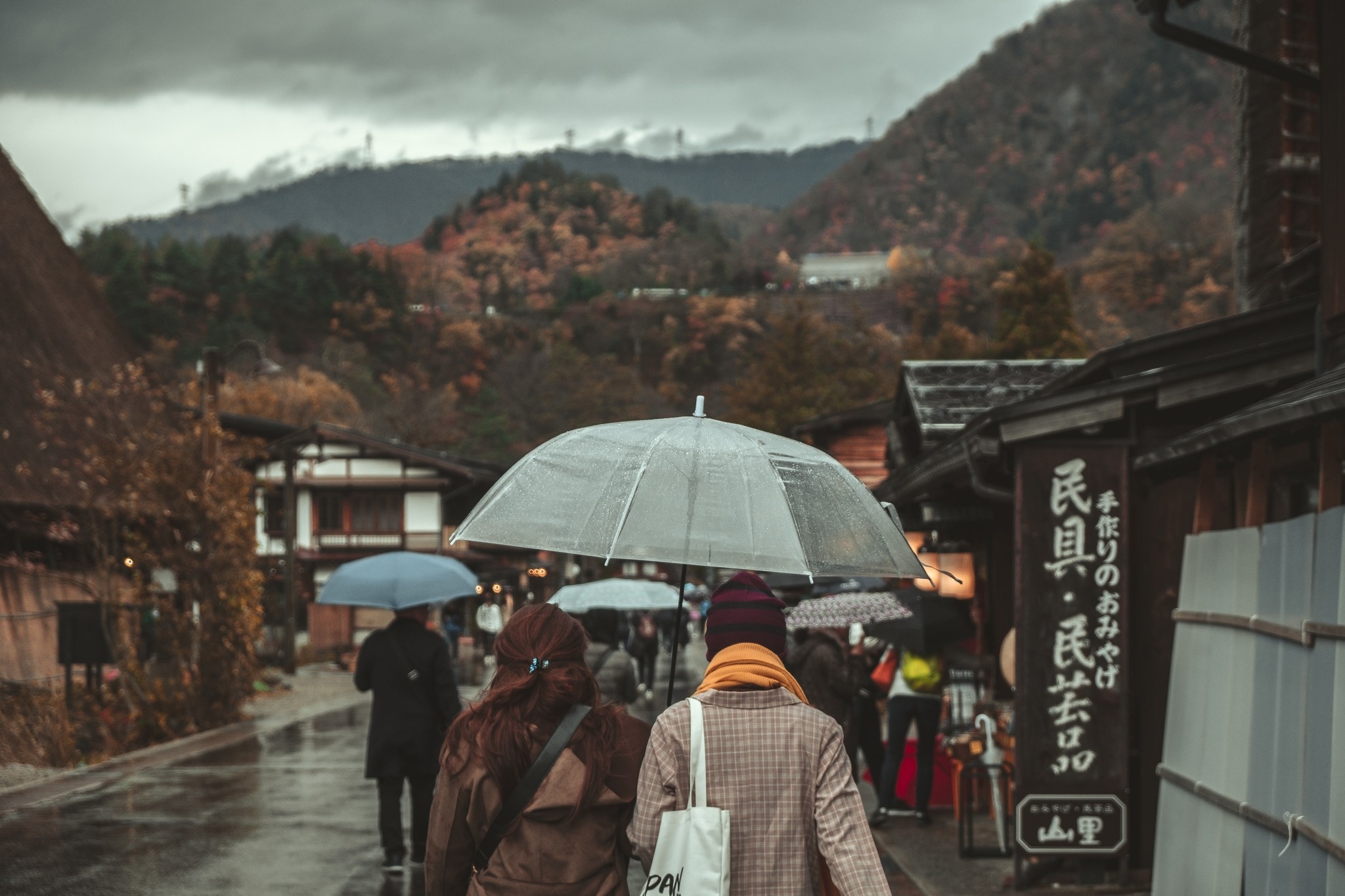 Lang Shirakawa-go anh 13