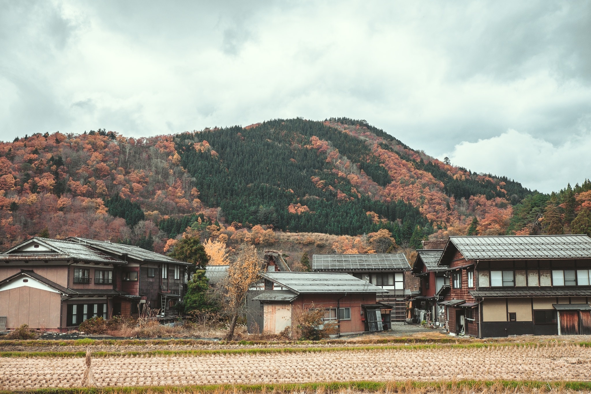 Lang Shirakawa-go anh 15