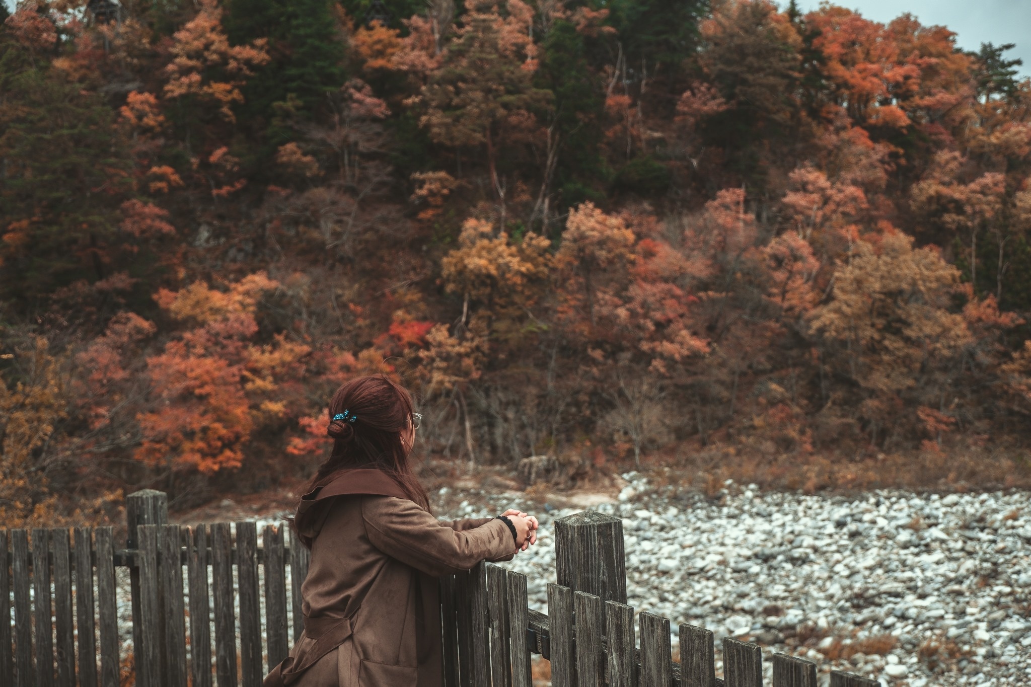 Lang Shirakawa-go anh 20