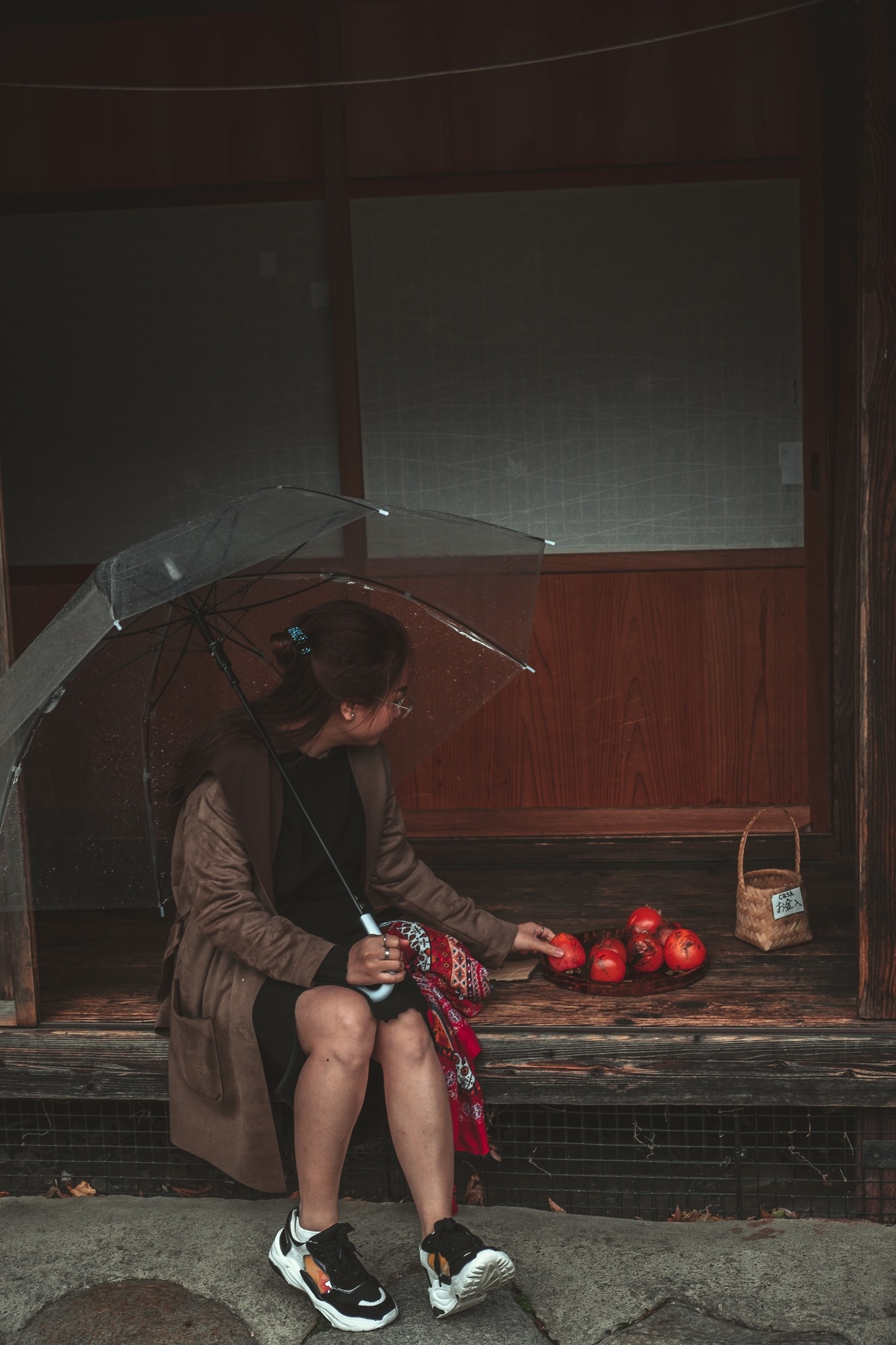 Lang Shirakawa-go anh 18