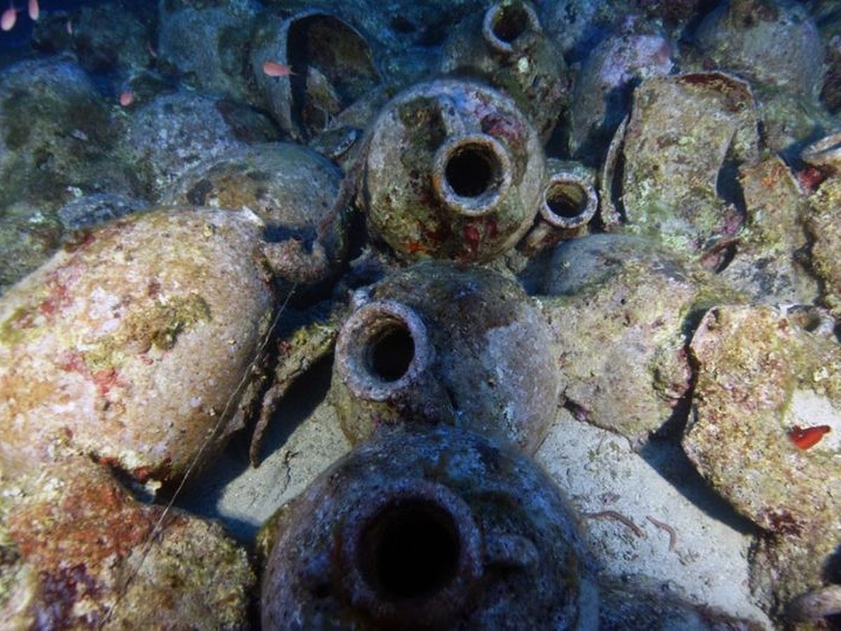 Tau co dai duoi bien anh 2