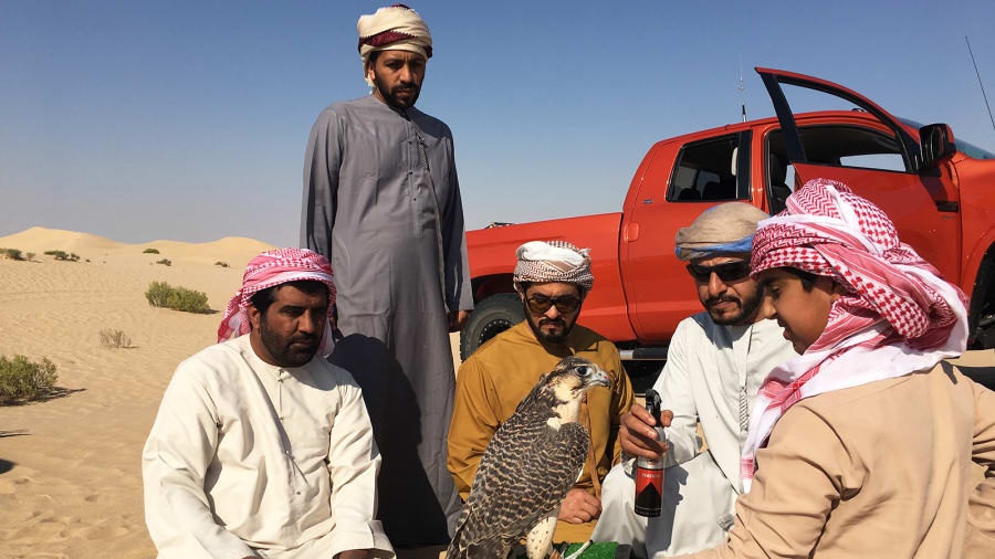 UAE ảnh 3 UAE anh 3