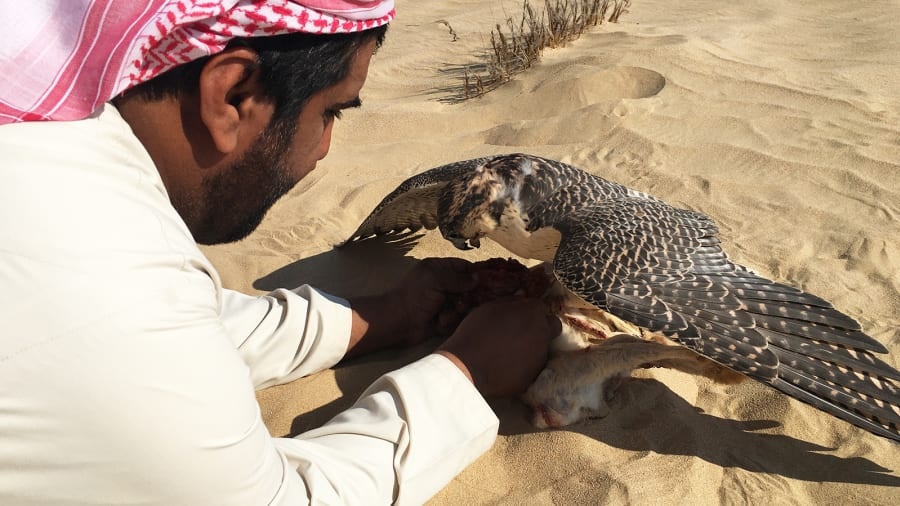 UAE ảnh 7 UAE anh 7