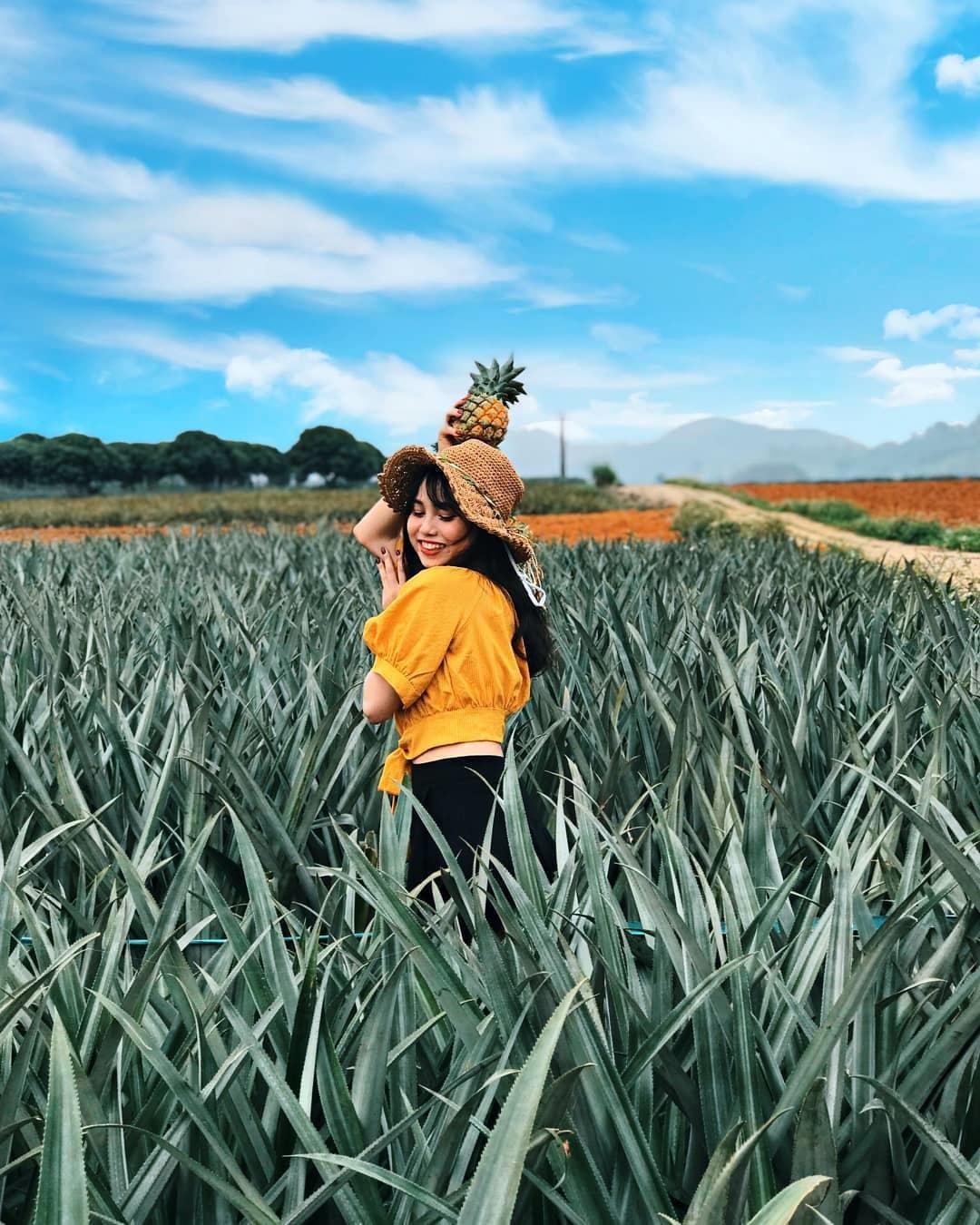 Địa điểm du lịch yêu thích nhất ảnh 2 Dia diem du lich yeu thich nhat anh 2