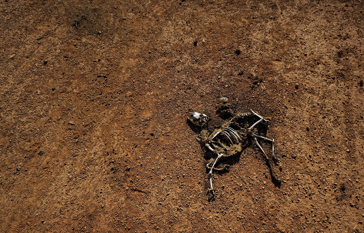 anh dep trong tuan anh 8