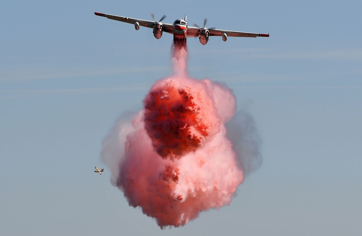 Luot anh chu nhat: Khi the gioi vac lua, ngam hoa, xa bot mau hinh anh