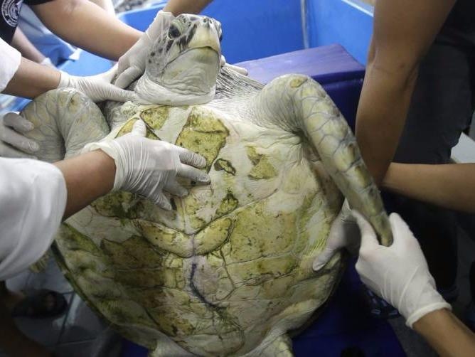 Rua nuot 1.000 dong xu hoi phuc tot sau phau thuat hinh anh