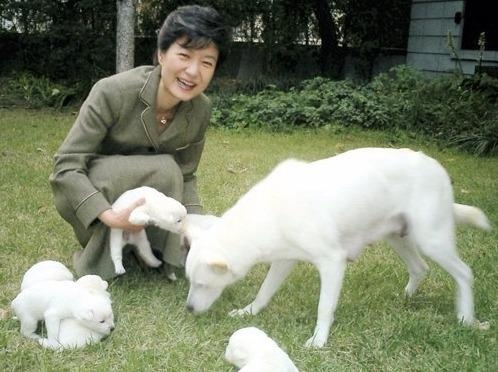 Cuu tong thong Han Quoc bi khieu nai vi bo lai cho o Nha Xanh hinh anh