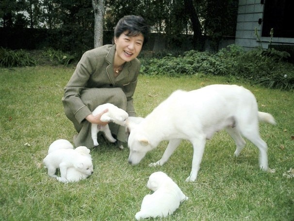 Tong thong Han Quoc anh 1