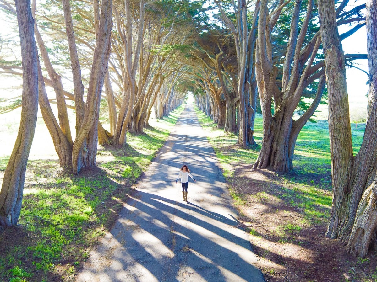 chup anh bang may bay khong nguoi lai anh 6