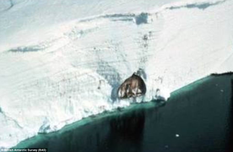 cuoc song o Nam Cuc anh 3