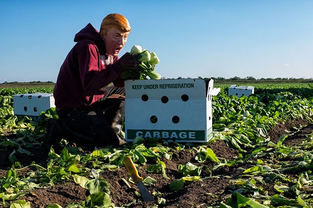 mặt nạ Trump ảnh 3 mat na Trump anh 3