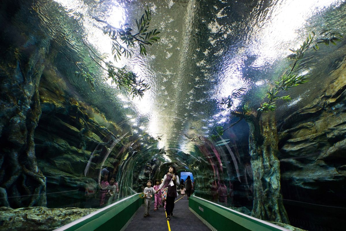 tòa nhà cao nhất Hàn Quốc  ảnh 9 toa nha cao nhat Han Quoc anh 9