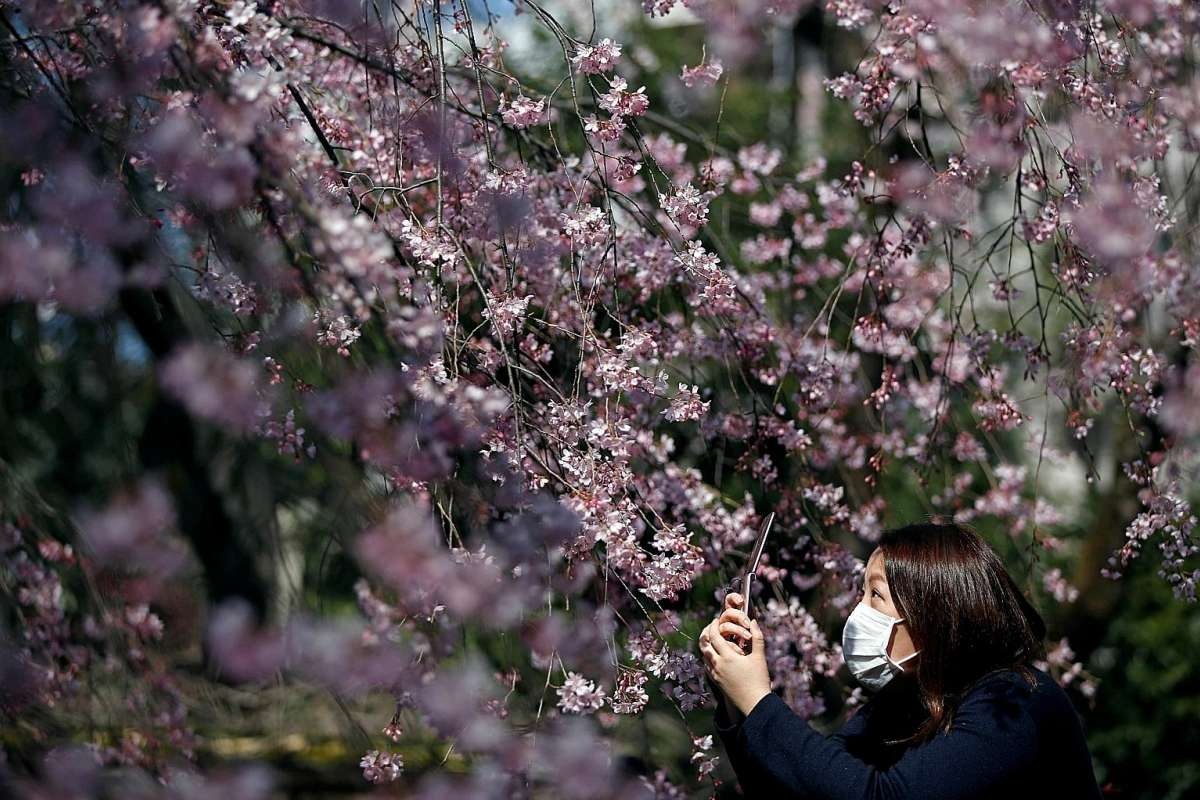 nghiện đeo khẩu trang ảnh 1 nghien deo khau trang anh 1