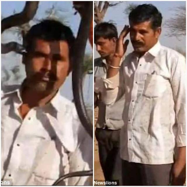 rắn độc cắn người ảnh 1 ran doc can nguoi anh 1