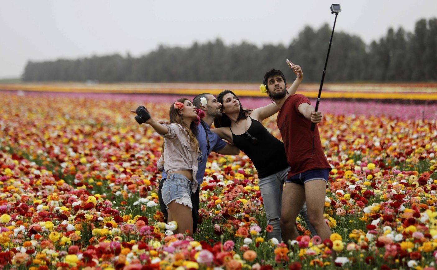 cánh đồng hoa trên thế giới ảnh 3 canh dong hoa tren the gioi anh 3