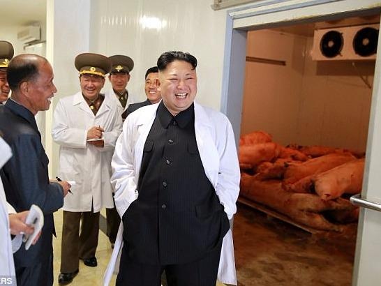 Kim Jong Un tuoi cuoi tham trang trai nuoi lon cua khong quan hinh anh