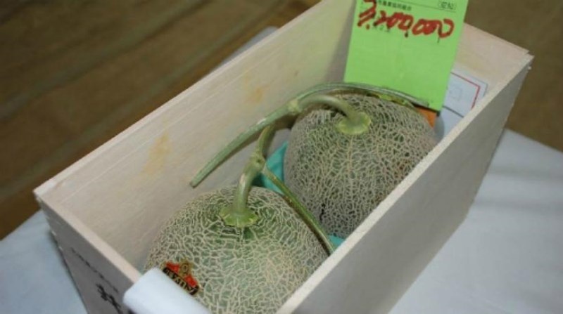 220 trieu dong/chum nho: Vi sao nguoi Nhat lam duoc? anh 1