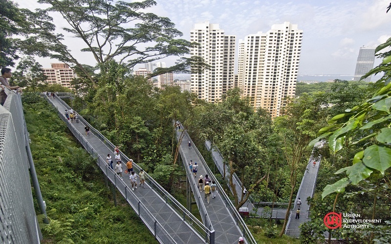 Singapore: Do thi duoc quy hoach ly tuong nhat the gioi anh 1