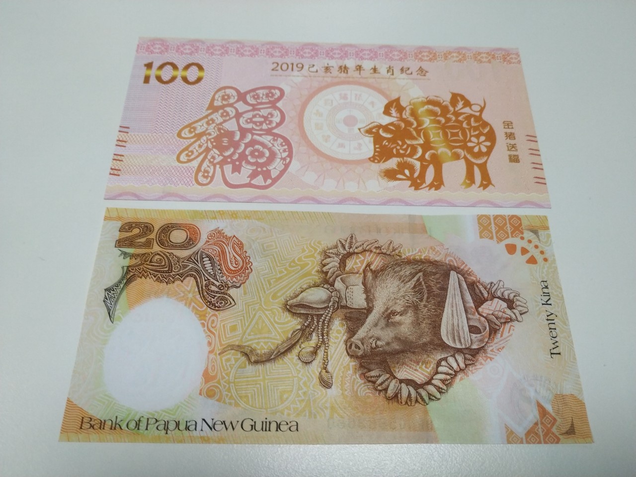 mua ban tien con heo anh 2