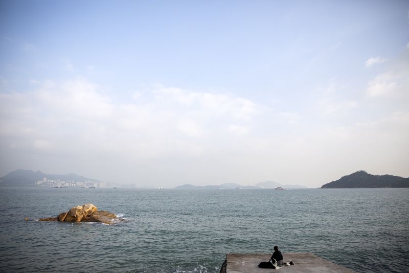 Hong Kong lan bien anh 1