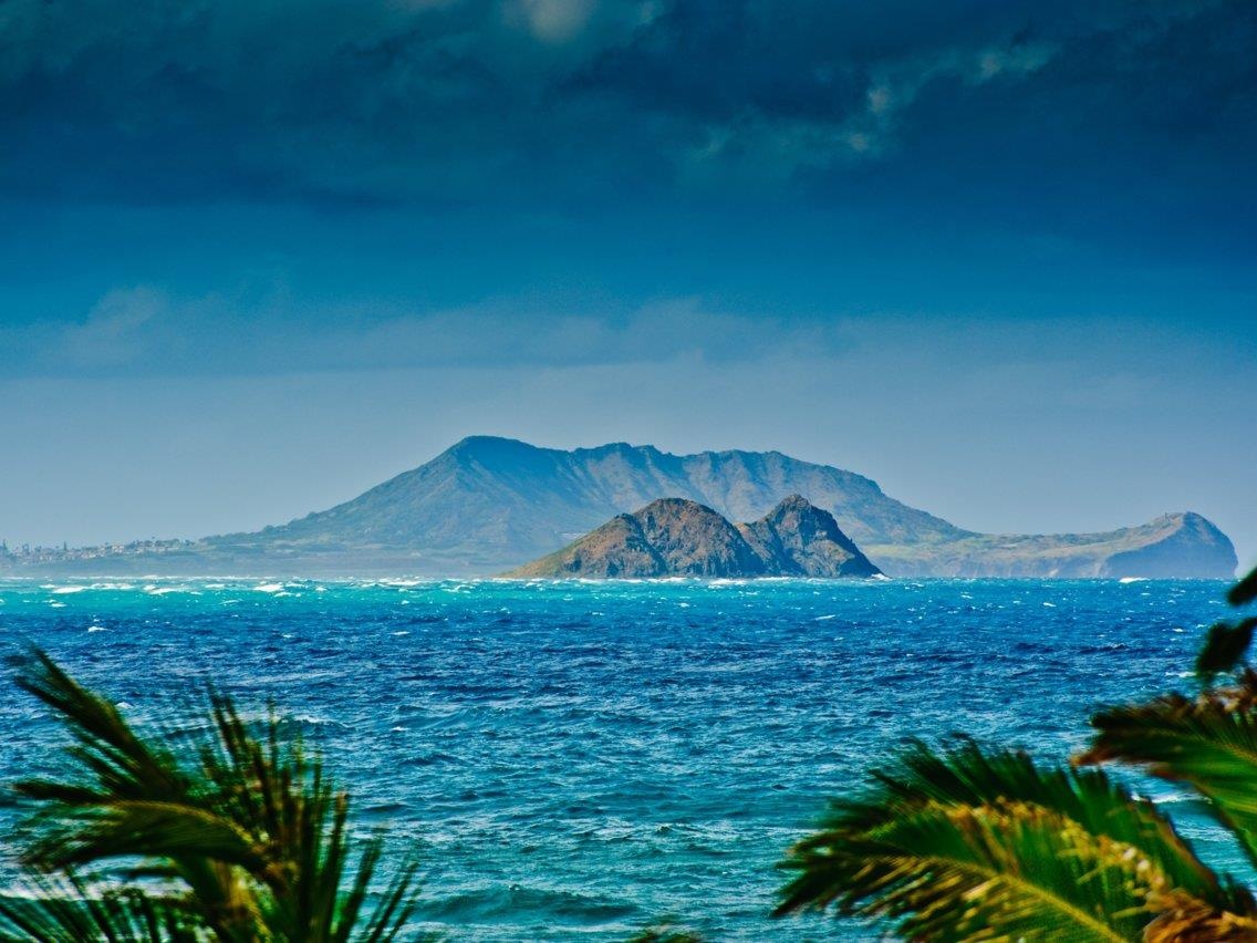 Nhung thu xa xi chi gioi sieu giau moi do tien mua anh 10