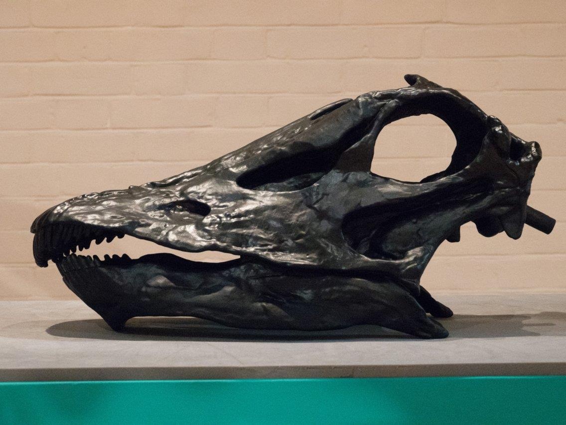 Nhung thu xa xi chi gioi sieu giau moi do tien mua anh 4